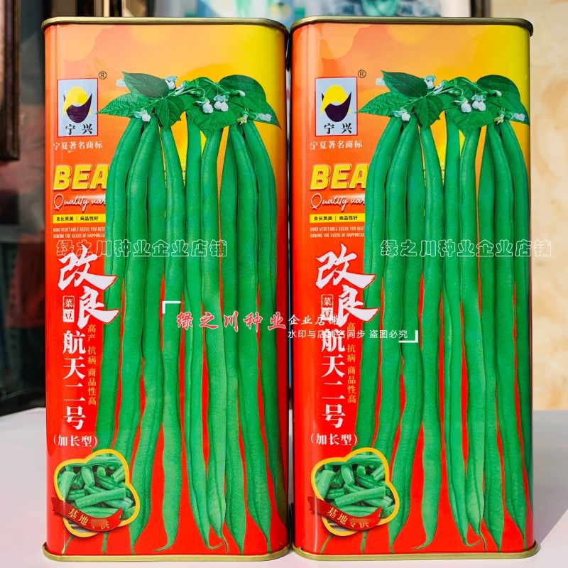 改良航天二号架豆种子加长型泰国无筋豆种子基地专用菜豆种籽