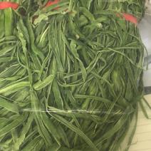 【推荐】贵州高原贡菜干大量供应保质保量无添加手工制作