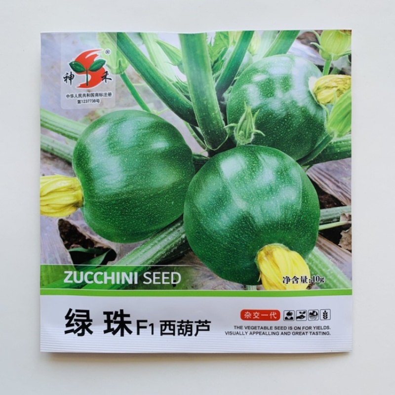 绿珠西葫芦种子