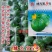 华渝圆宝杂交西葫芦种子油绿坐果率高膨瓜快叶小瓜