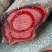 鸡血藤