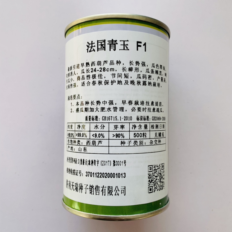法国青玉西葫芦种子绿皮油亮高产春秋早熟顺直