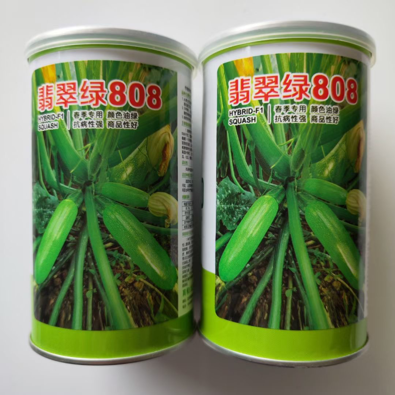 育和荷兰引进翡翠绿808西葫芦种子油绿抗病100克
