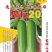 绿亨如拉20西葫芦种子越冬栽培油绿耐低温占瓜种子