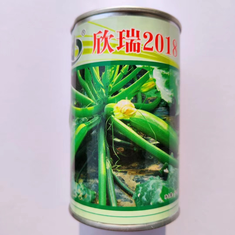 法国青玉西葫芦种子绿皮油亮高产春秋早熟顺直