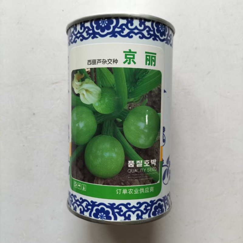 京丽无蔓小南瓜西葫芦种子高产绿色有光泽
