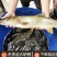 金莎鲈鲤鱼苗鲈鲤大花鱼豹纹花鱼苗原生猛老虎鱼淡水养