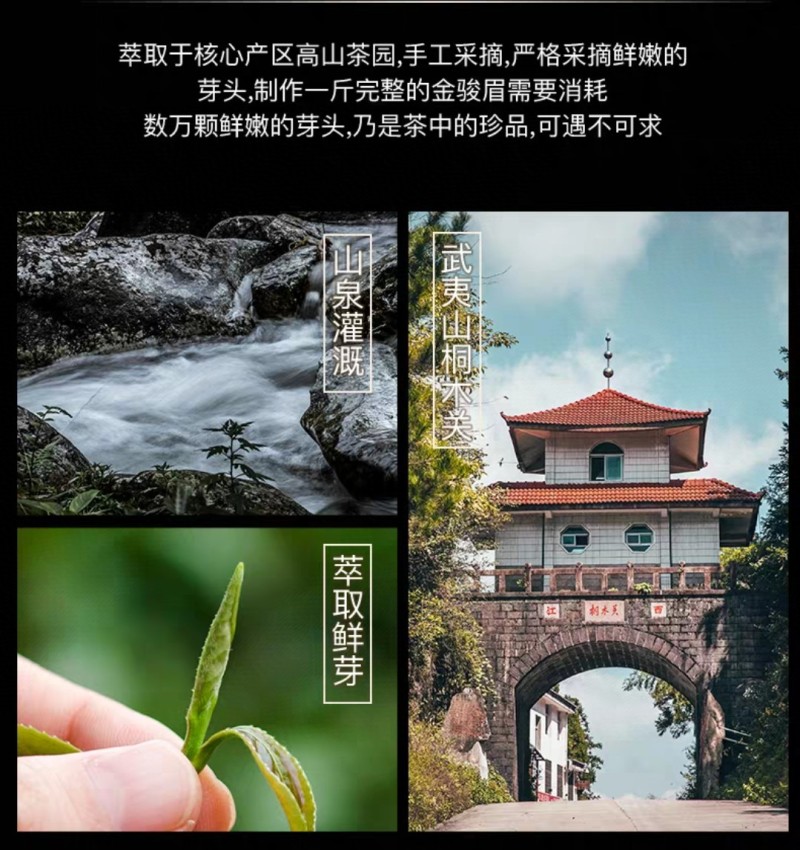 金骏眉红茶茶叶蜜香浓香型金俊眉新茶