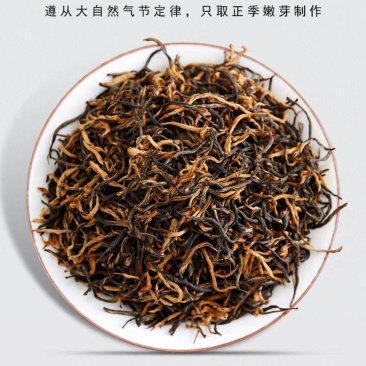 金骏眉红茶茶叶蜜香浓香型金俊眉新茶