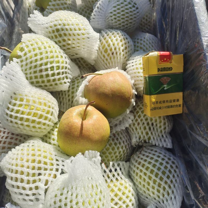 玉露香梨