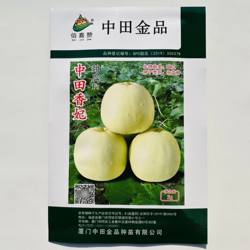 中田金品中田香妃甜瓜种子薄皮香瓜种子甜度高