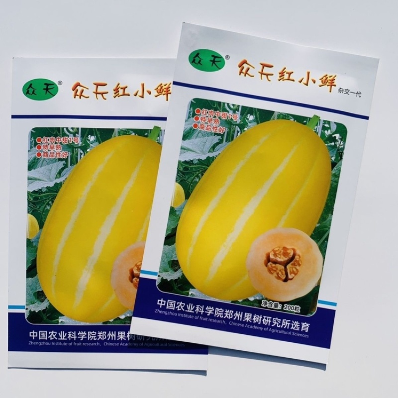 众天红小鲜红肉中甜11号甜瓜种子特早熟厚皮甜瓜籽