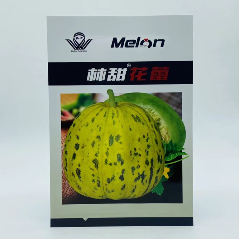 林甜糖秀花蕾甜瓜种子杂交八里香香瓜种子花皮