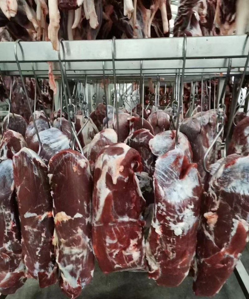 纯干鲜牛肉