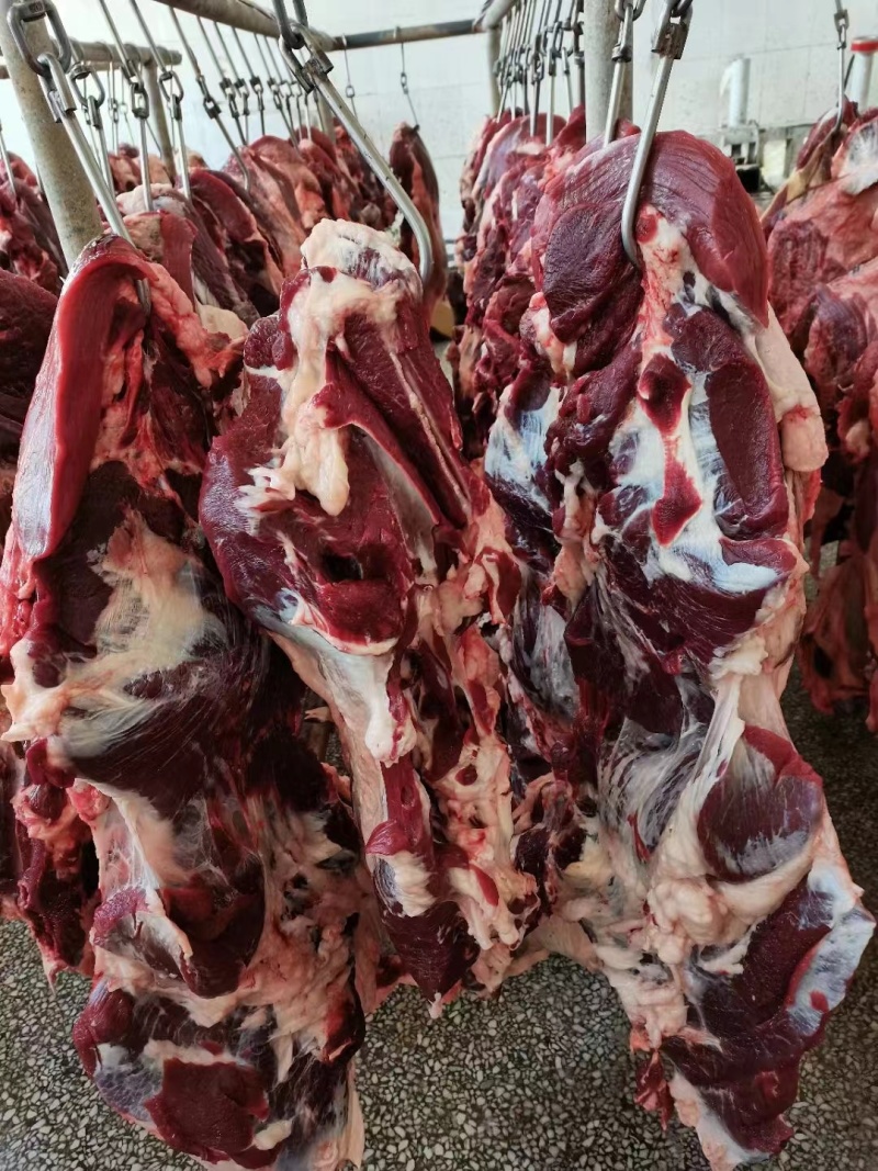 纯干鲜牛肉
