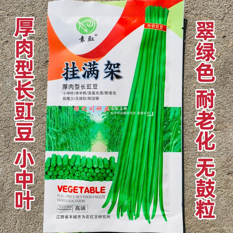 挂满架长豆角种子小中叶厚肉型长豇豆种子四季豆豆角种籽