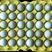绿壳乌鸡蛋50g/枚养殖场常年供应