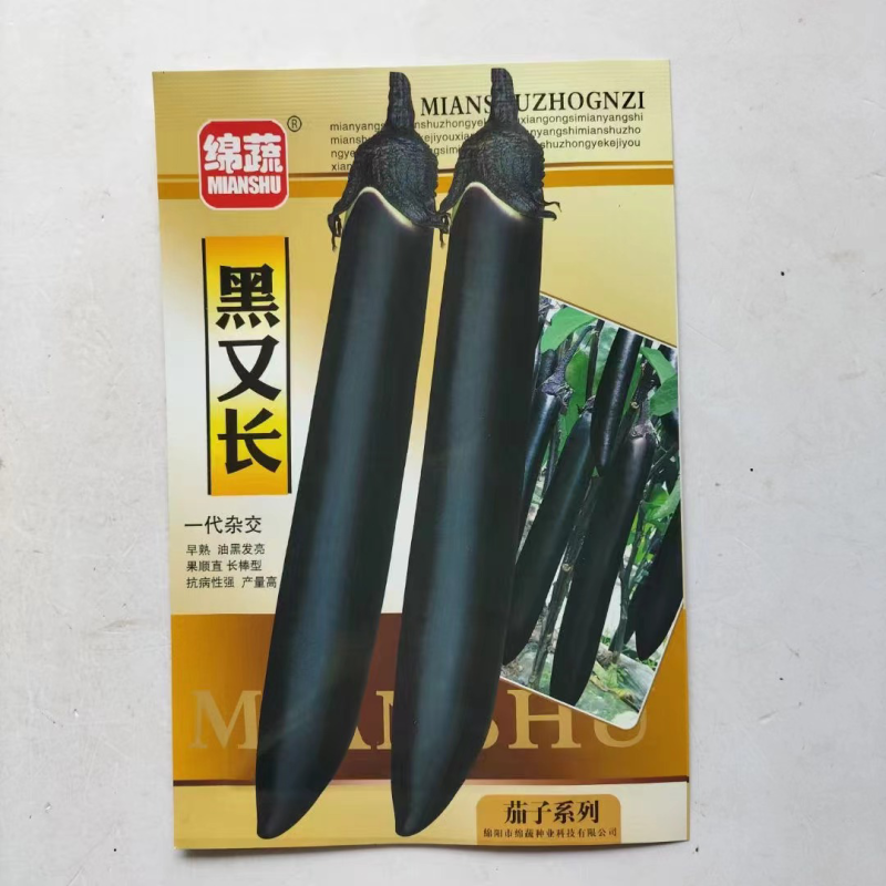 黑又长茄子种子