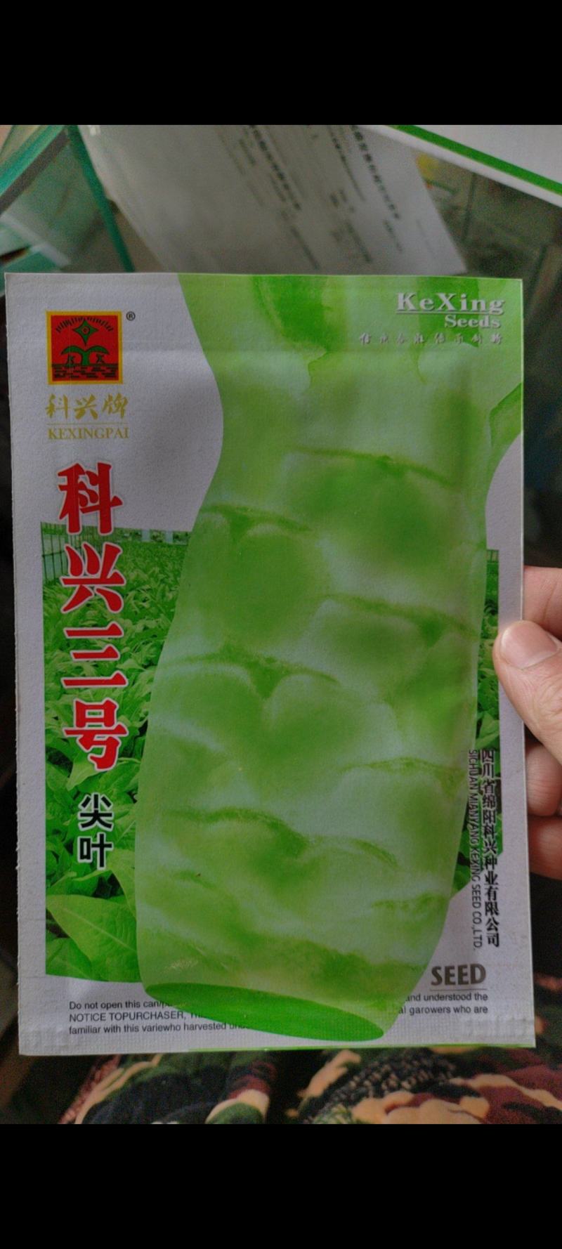 科兴九号科兴五号科兴三号莴笋种子莴笋种子青莴笋种子
