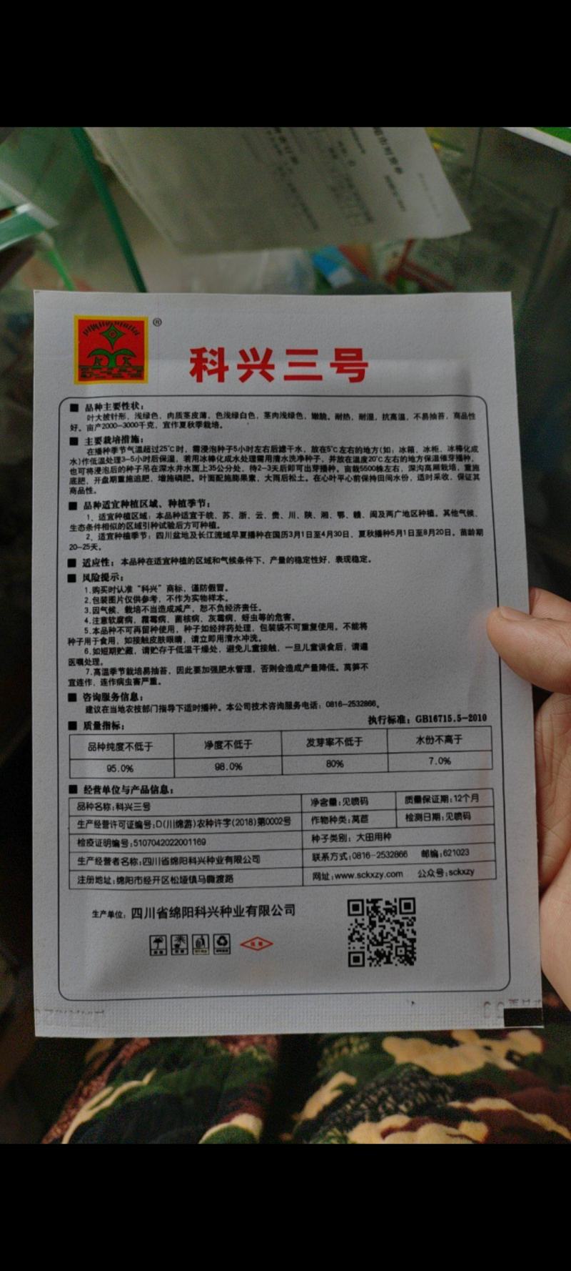 科兴九号科兴五号科兴三号莴笋种子莴笋种子青莴笋种子