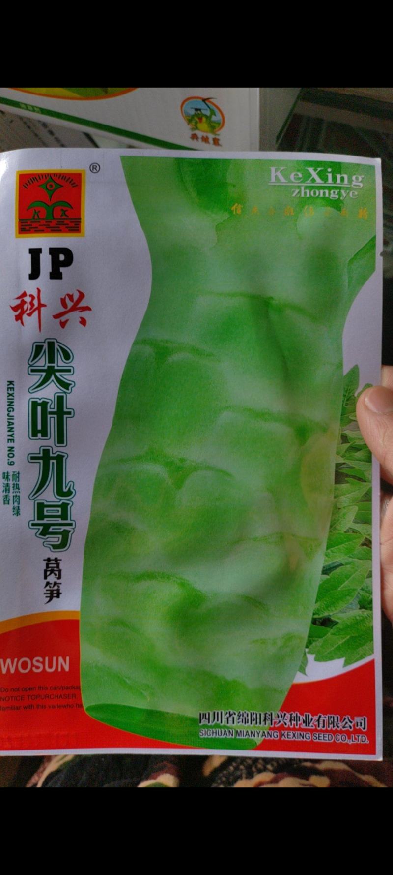 科兴九号科兴五号科兴三号莴笋种子莴笋种子青莴笋种子