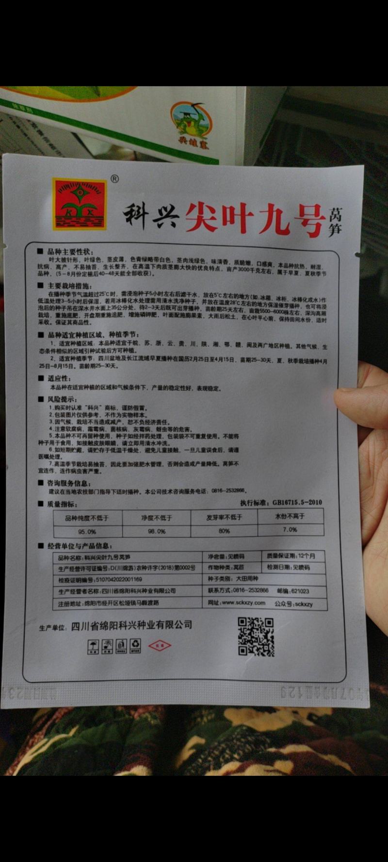科兴九号科兴五号科兴三号莴笋种子莴笋种子青莴笋种子