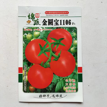 绵蔬金圆宝1106大红番茄种子抗病毒西红柿种子