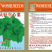 大叶空心菜种子青梗