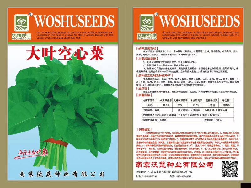 大叶空心菜种子青梗