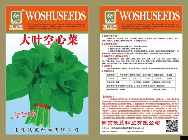大叶空心菜种子青梗
