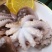 海鲜八爪鱼海鲜小章鱼海鲜鲜活八爪鱼章鱼爆头火锅食材新鲜八
