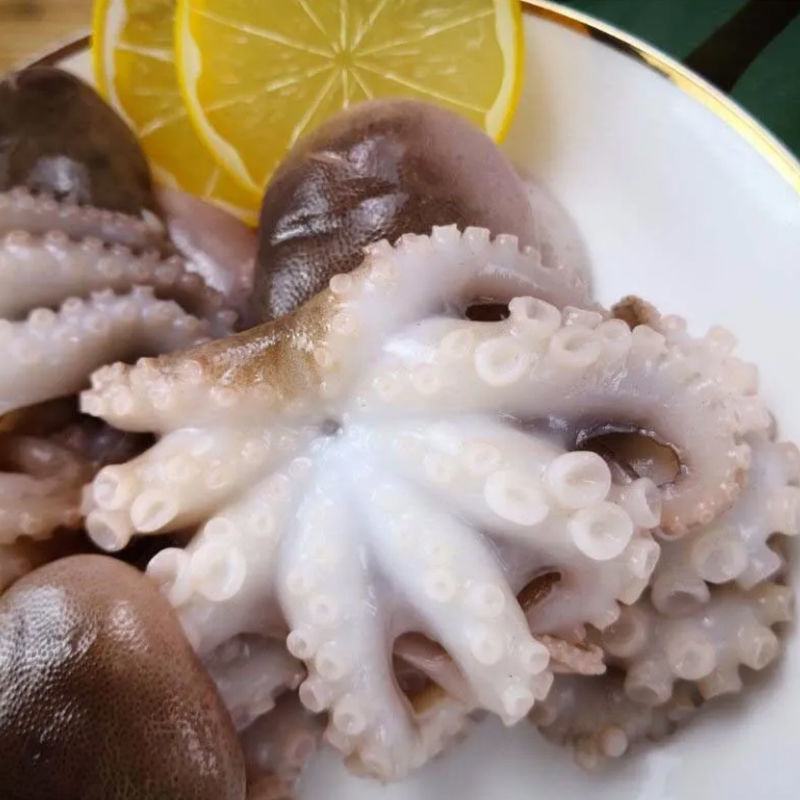 海鲜八爪鱼海鲜小章鱼海鲜鲜活八爪鱼章鱼爆头火锅食材新鲜八