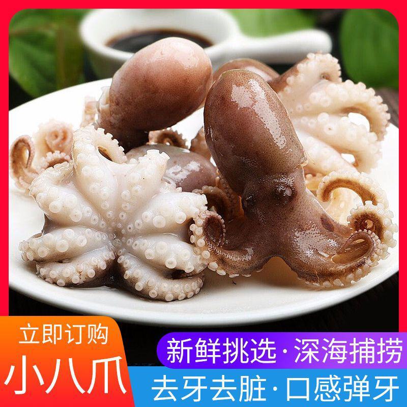 海鲜八爪鱼海鲜小章鱼海鲜鲜活八爪鱼章鱼爆头火锅食材新鲜八