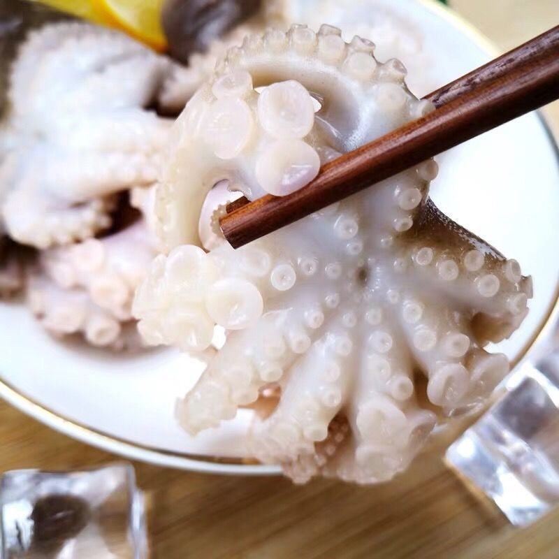 海鲜八爪鱼海鲜小章鱼海鲜鲜活八爪鱼章鱼爆头火锅食材新鲜八