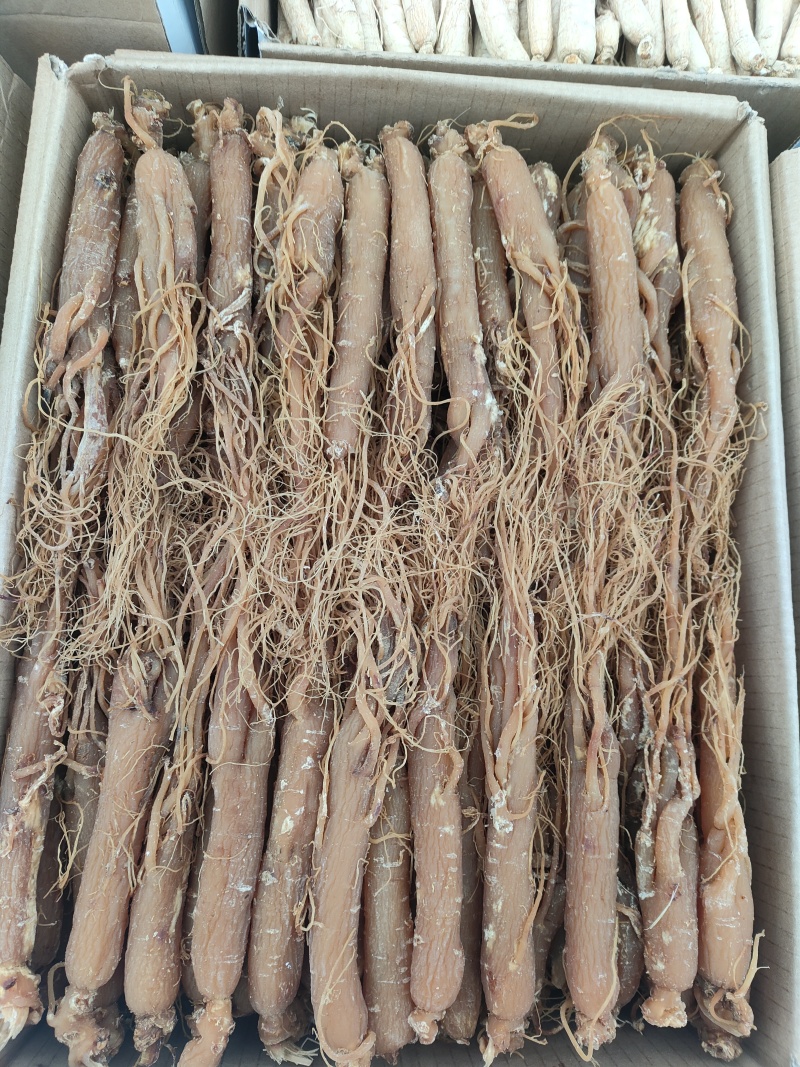 干货红全须各种规格都有