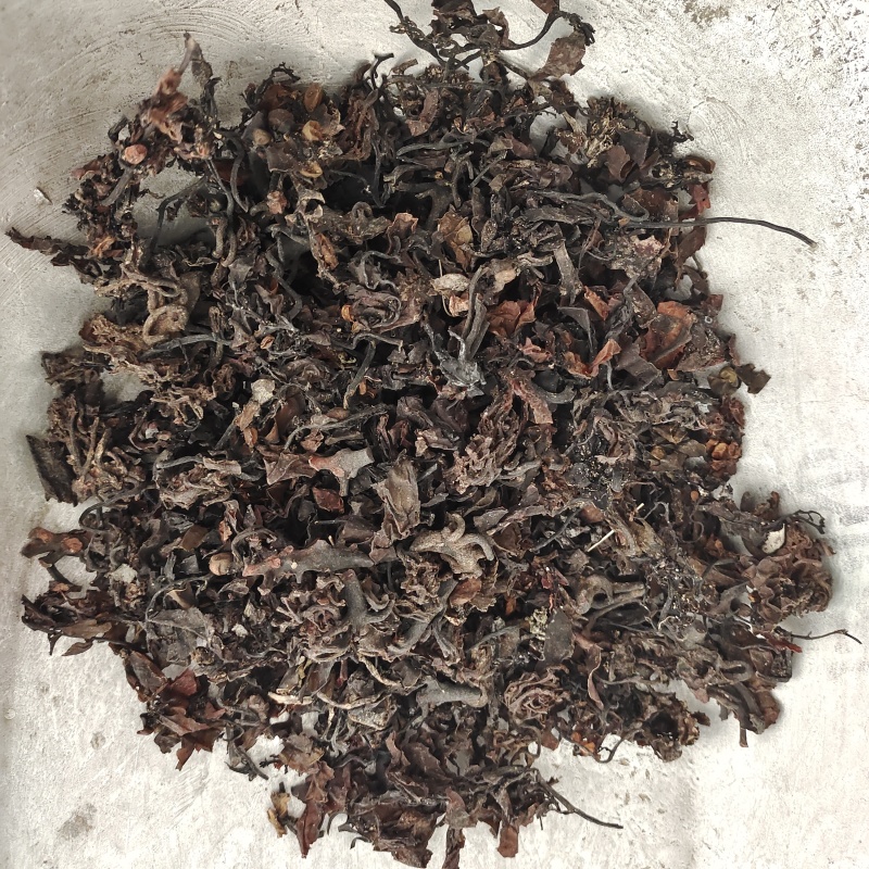 海藻，无硫，一手货源，批发各种中药材，欢迎订购