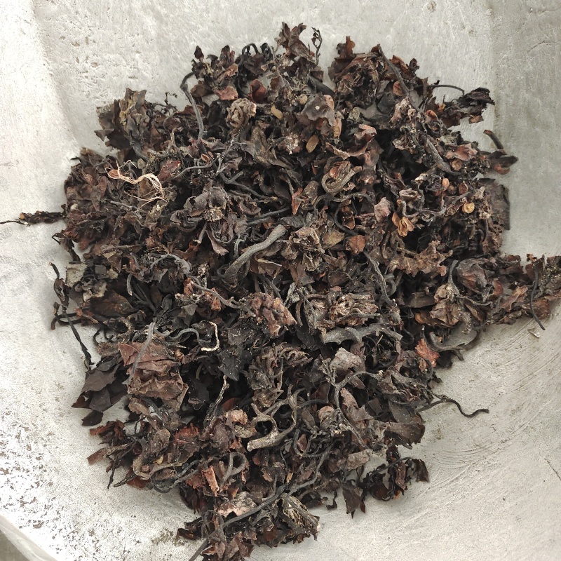 海藻，无硫，一手货源，批发各种中药材，欢迎订购
