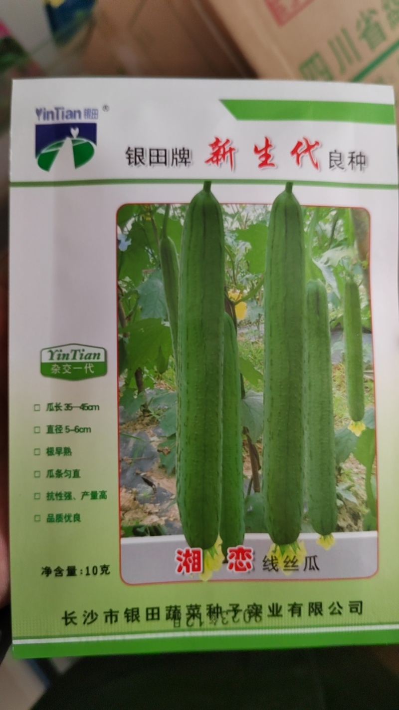 优质线丝瓜种子长丝瓜种子香丝瓜种子