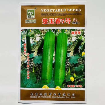 楚玉香5号丝瓜种子油亮型香肉丝瓜强雌品种