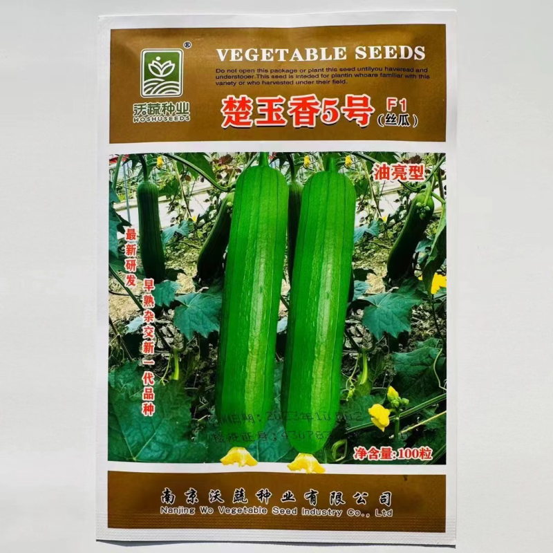 楚玉香5号丝瓜种子油亮型香肉丝瓜强雌品种