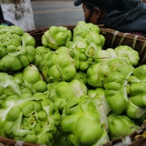 大量岀售榨菜，鲜菜，盐渍菜