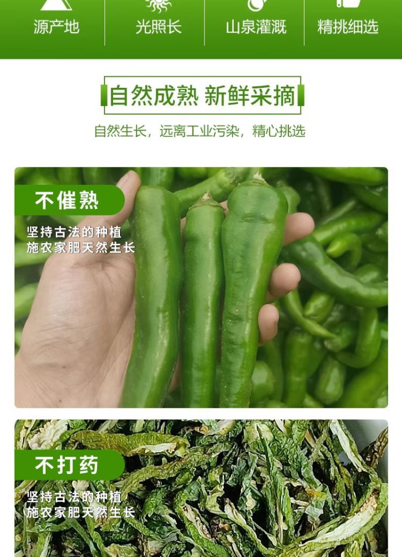 青辣椒片辣椒丝辣椒段炒菜火锅青干辣椒