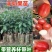 羊奶果树苗新品种德甜纯甜大果盆栽地栽当年结果南方北方种植