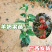 羊奶果树苗新品种德甜纯甜大果盆栽地栽当年结果南方北方种植