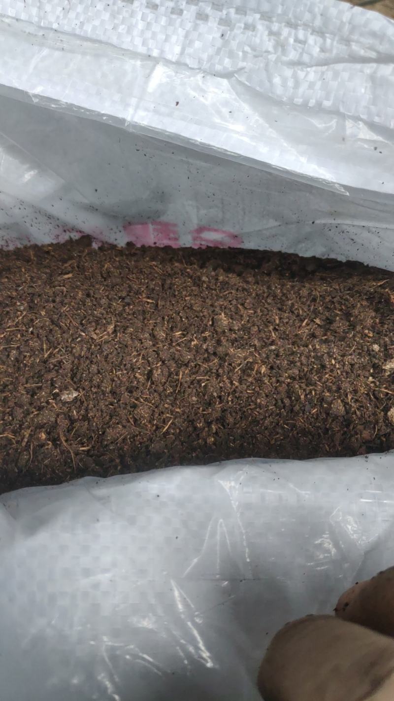 大量发酵鸡粪，不加灰，不加糖泥，分子膜发酵彻底，蓬松好肥