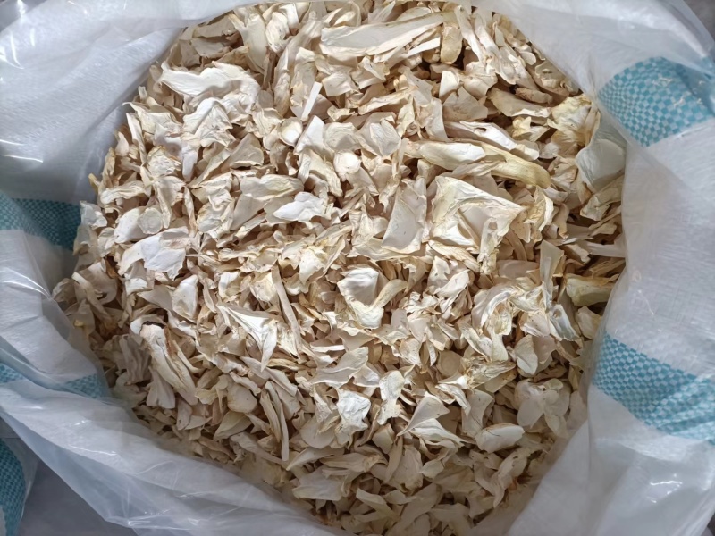 杏鲍菇大片，中小片，根片颗粒场地源头货源，常年加工烘干