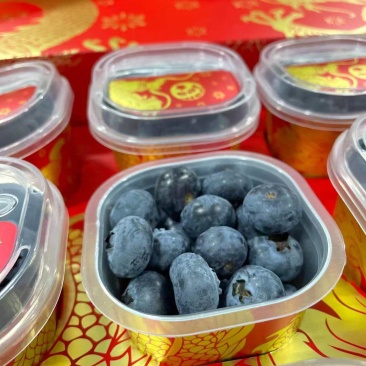 云南蓝莓，线上，线下