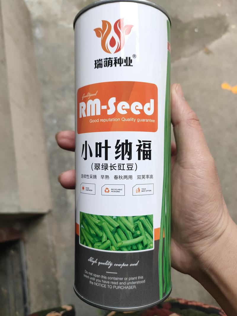 长豆角种子长豇豆种子嫩绿色翠绿色优质顺直80公分长