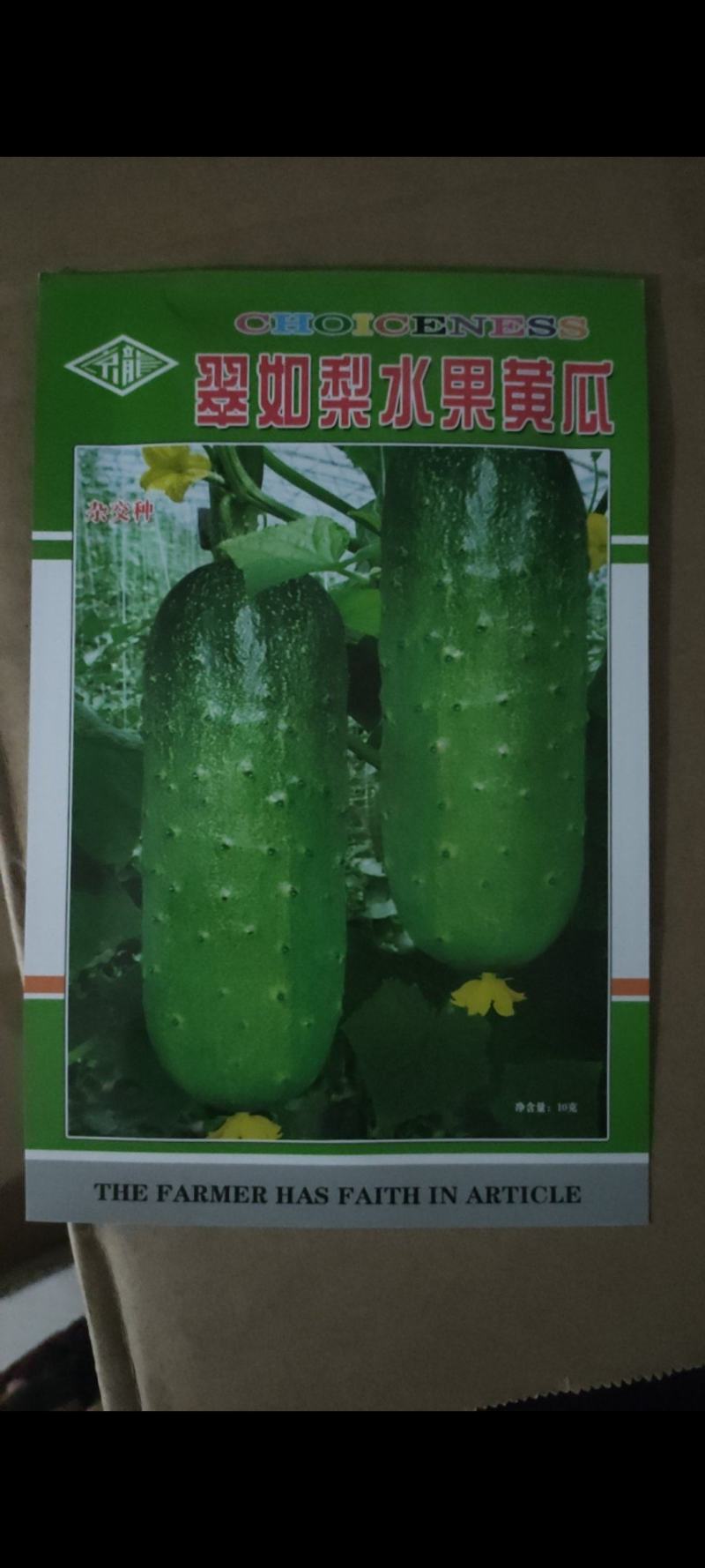 优质短棒圆筒型水果黄瓜种子刺溜小瓜长节节有瓜翠绿色