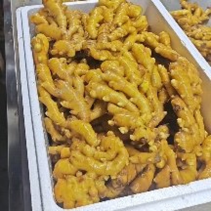 【优质小黄姜】个头匀称货源充足保质保量面向全国发货